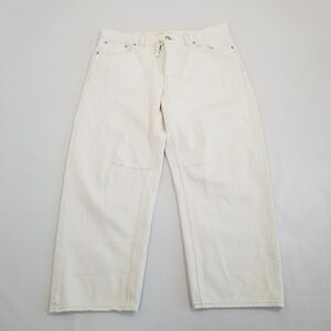 Madewell Darted Barrel-Leg Jeans Size 29P NWT